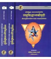 Laghu Siddhanta Kaumudi लघुसिद्धान्त कौमुदी Set of 3 Vols.