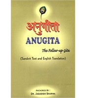 Anugita The Follow up Gita